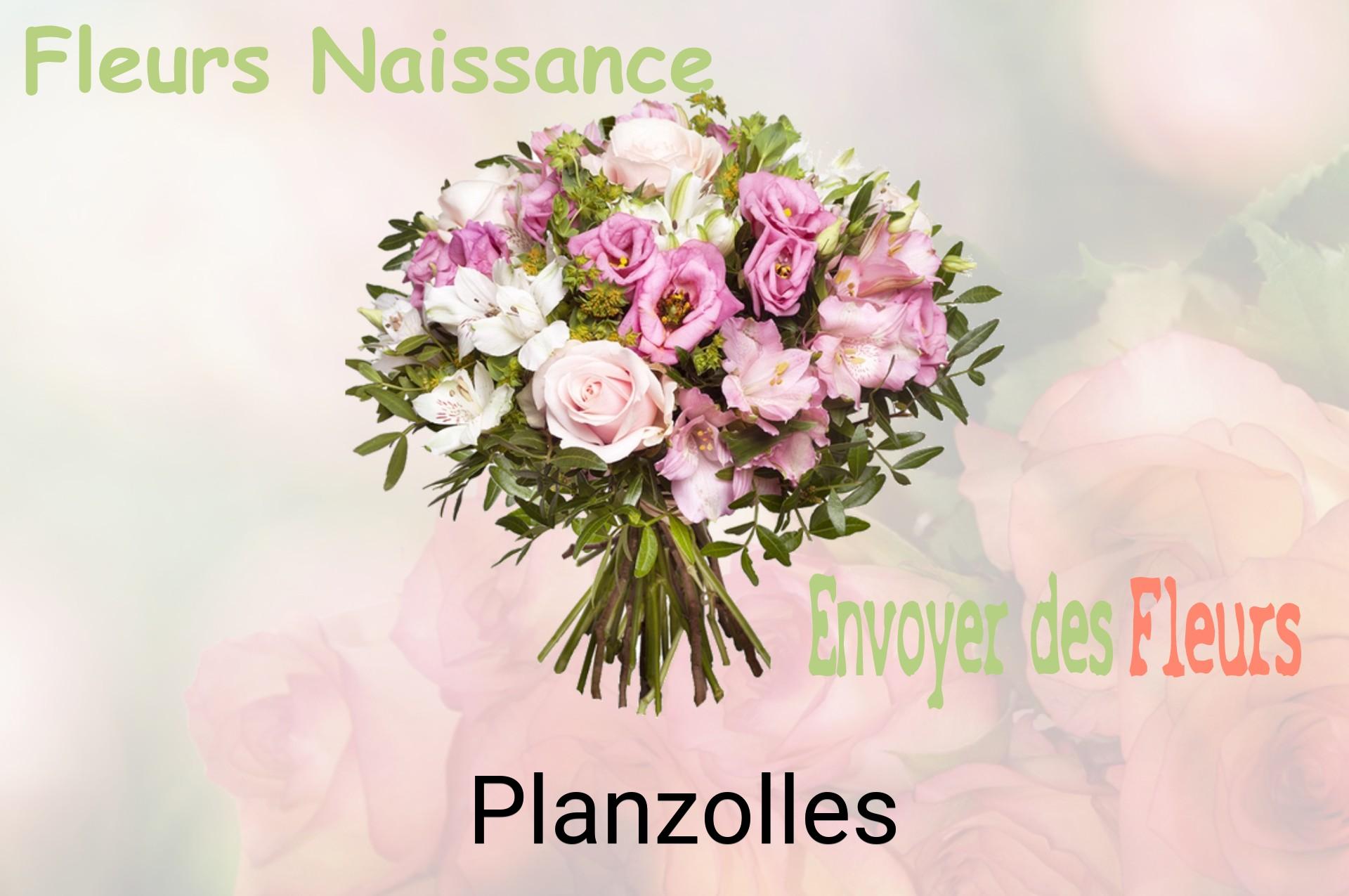 Bouquet de fleurs de naissance livré à Planzolles